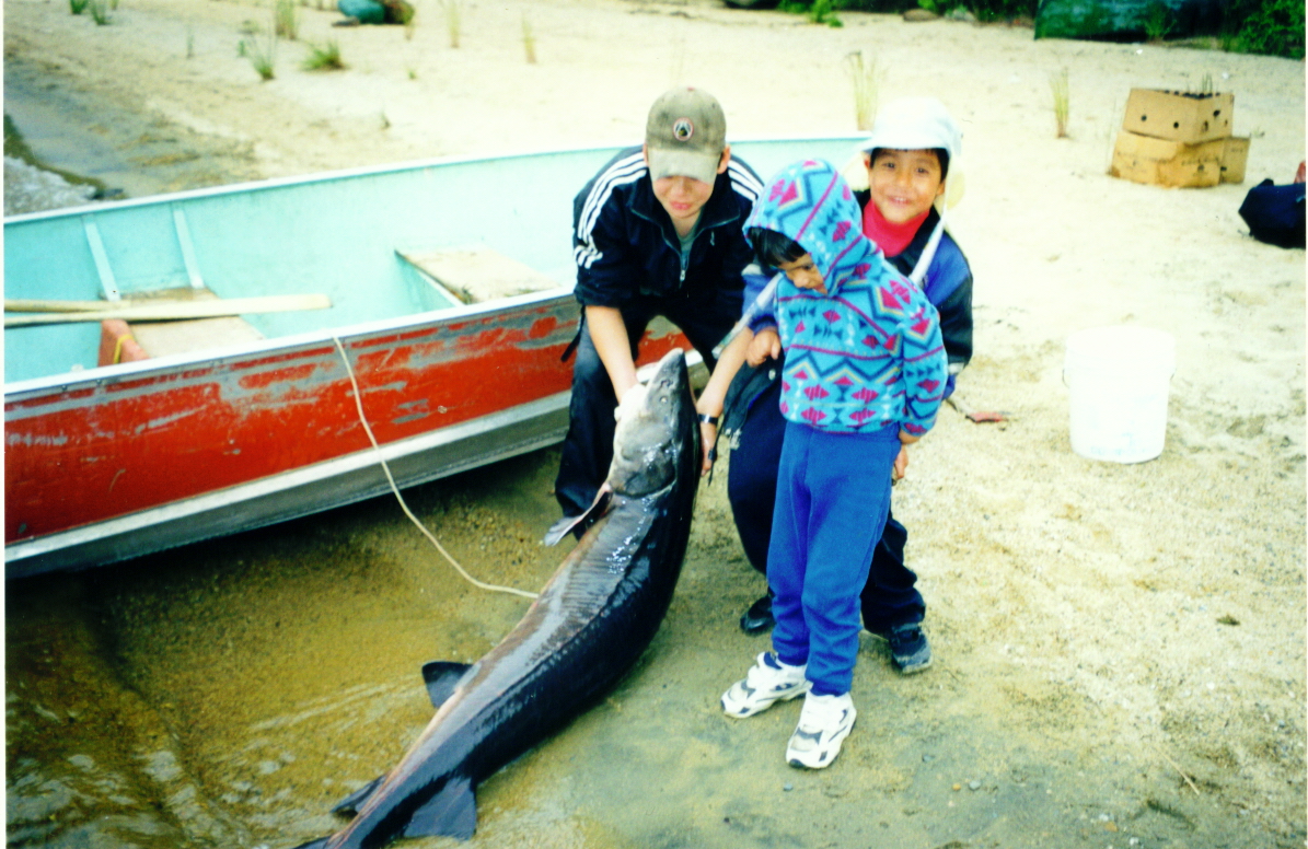 VIEW OF BIG STURGEON