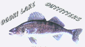 Camp Logo